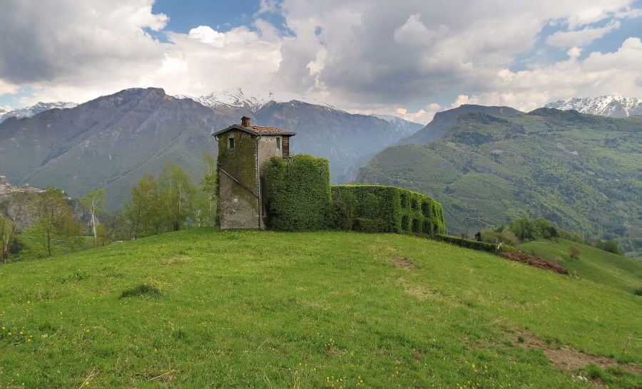 Immagine
