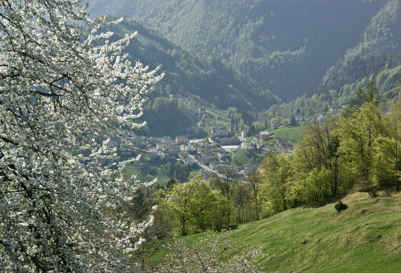 Immagine