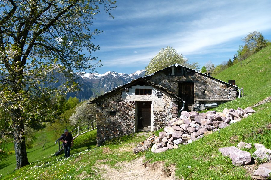 Immagine