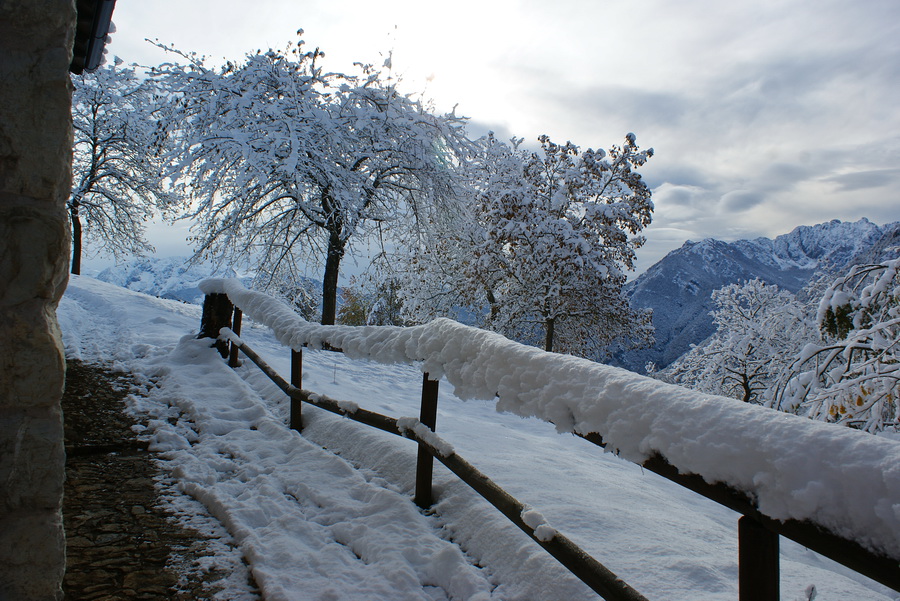 Immagine