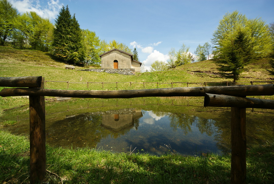 Immagine
