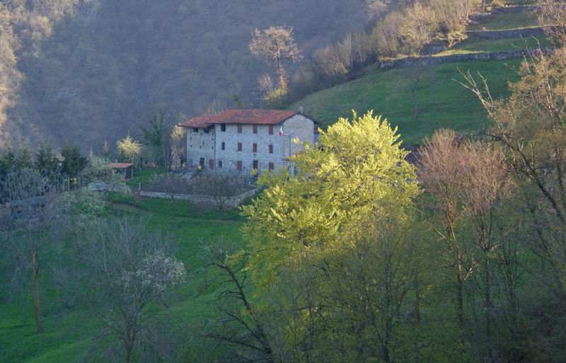 Immagine