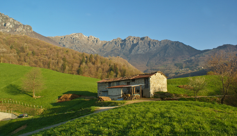 Immagine