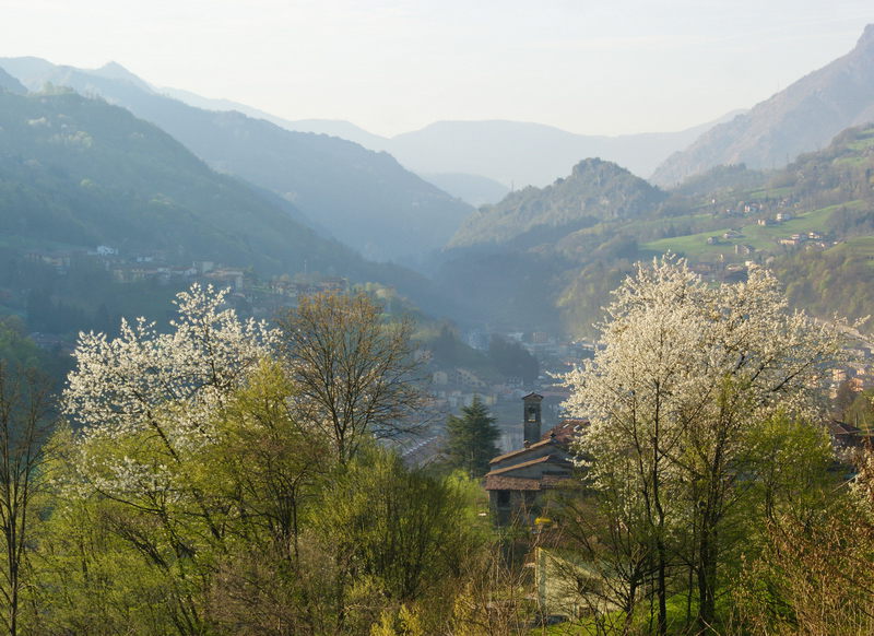 Immagine