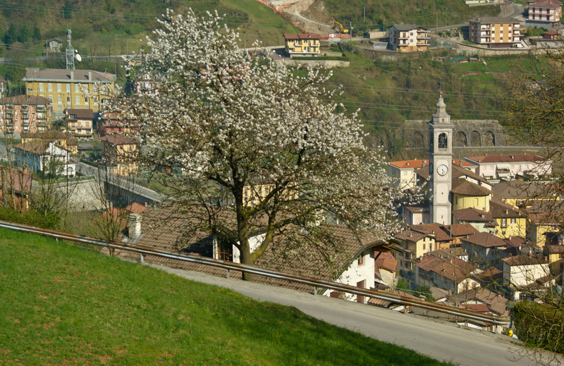 Immagine