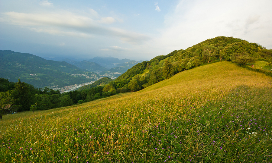 Immagine