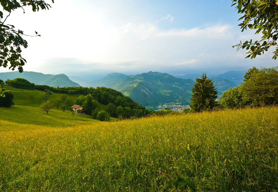 Immagine