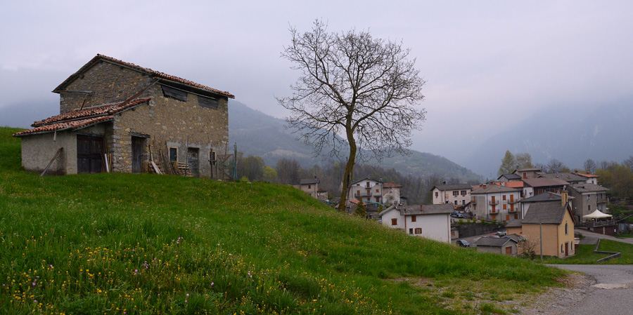 Immagine