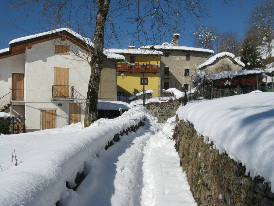 Immagine