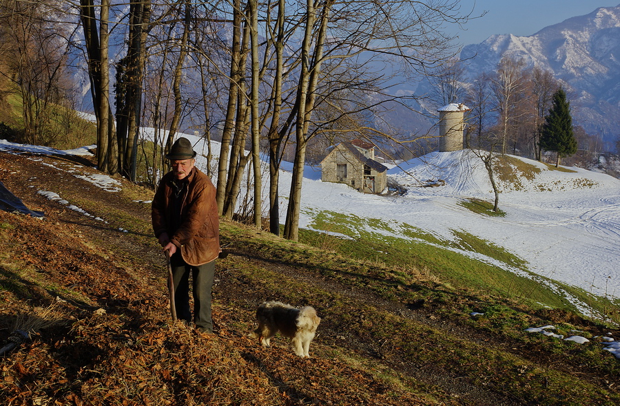 Immagine