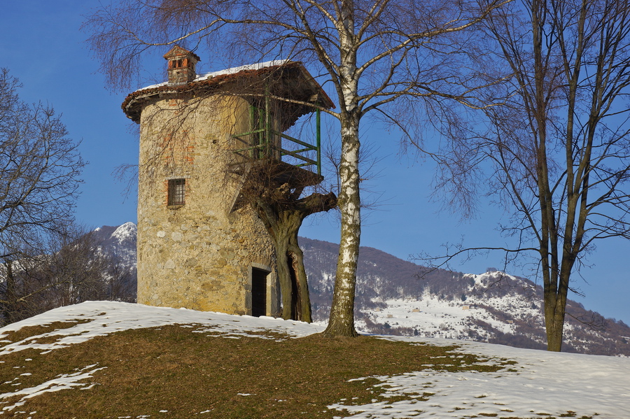 Immagine