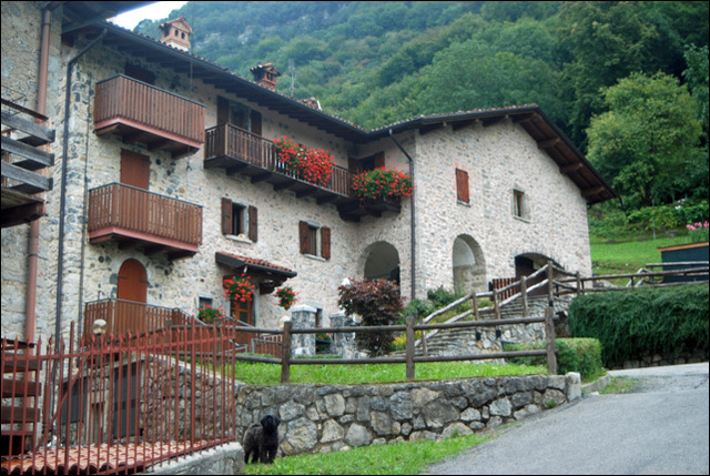 Immagine